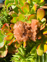 Load image into Gallery viewer, Aragonite