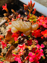 Load image into Gallery viewer, Agate Turtle