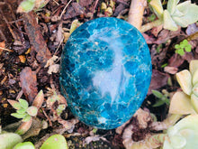 Load image into Gallery viewer, Blue Apatite