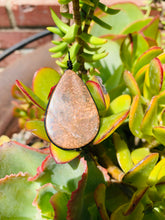 Load image into Gallery viewer, Jasper Pendant