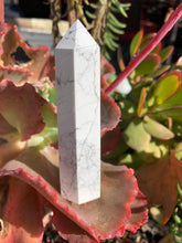 Load image into Gallery viewer, HOWLITE