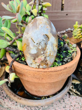 Load image into Gallery viewer, Flower Agate Free Form