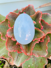 Load image into Gallery viewer, ANGELITE Egg