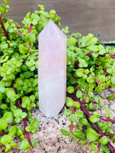 Load image into Gallery viewer, Rose Quartz
