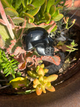 Load image into Gallery viewer, Gold Sheen Obsidian Skull