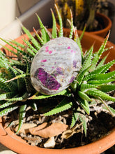 Load image into Gallery viewer, Ruby in Rhyolite