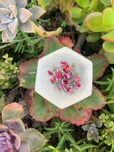 Load image into Gallery viewer, Selenite Hexagon Bowl