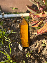 Load image into Gallery viewer, Tiger’s Eye