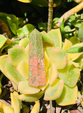 Load image into Gallery viewer, Unakite