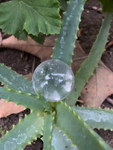 Load image into Gallery viewer, Clear Quartz
