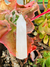 Load image into Gallery viewer, TOURMALINATED Quartz