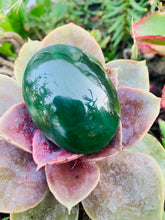 Load image into Gallery viewer, Nephrite Jade Palm Stone