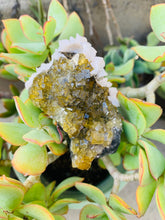Load image into Gallery viewer, Yellow Fluorite with Stilbite