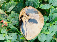 Load image into Gallery viewer, Amber