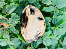 Load image into Gallery viewer, Amber