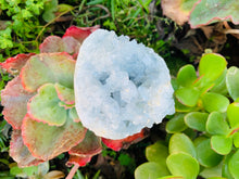 Load image into Gallery viewer, Celestite