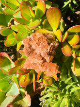 Load image into Gallery viewer, Aragonite