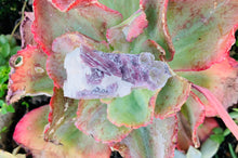 Load image into Gallery viewer, Lepidolite