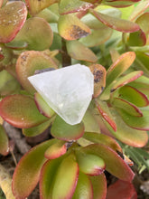 Load image into Gallery viewer, Apophyllite