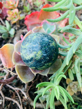 Load image into Gallery viewer, Serpentine