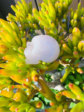 Load image into Gallery viewer, Rose Quartz Skull