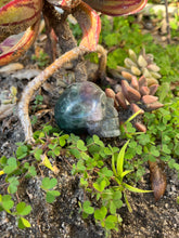 Load image into Gallery viewer, Fluorite Skull