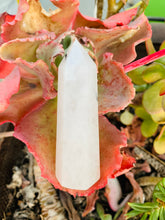 Load image into Gallery viewer, TOURMALINATED Quartz