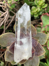 Load image into Gallery viewer, Lemurian Quartz