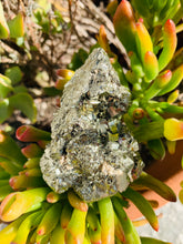 Load image into Gallery viewer, Pyrite