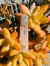 Load image into Gallery viewer, Crackle Quartz Wand with Black Tourmaline