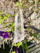 Load image into Gallery viewer, Lemurian Quartz