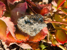 Load image into Gallery viewer, Pyrite