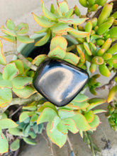 Load image into Gallery viewer, Jet