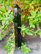 Load image into Gallery viewer, Shungite