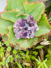 Load image into Gallery viewer, Avalon Amethyst
