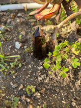 Load image into Gallery viewer, Smoky Quartz