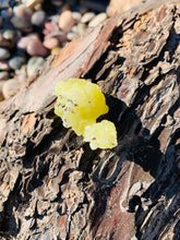 Load image into Gallery viewer, Brucite