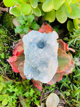 Load image into Gallery viewer, Celestite