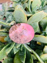 Load image into Gallery viewer, Rhodonite Palm Stone