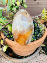 Load image into Gallery viewer, Flower Agate Free Form