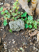 Load image into Gallery viewer, Pyrite