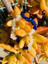 Load image into Gallery viewer, Lapis Lazuli and Moonstone Bracelet