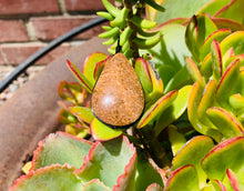 Load image into Gallery viewer, Jasper Pendant