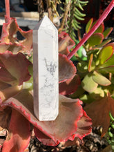 Load image into Gallery viewer, HOWLITE