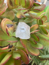 Load image into Gallery viewer, Apophyllite