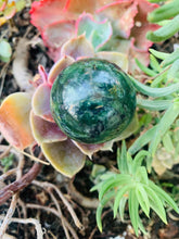 Load image into Gallery viewer, Serpentine