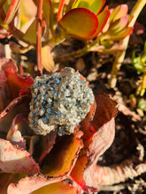 Load image into Gallery viewer, Pyrite