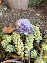 Load image into Gallery viewer, Chevron Amethyst Skull