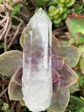 Load image into Gallery viewer, Lemurian Quartz
