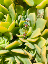 Load image into Gallery viewer, Tourmaline Pendant